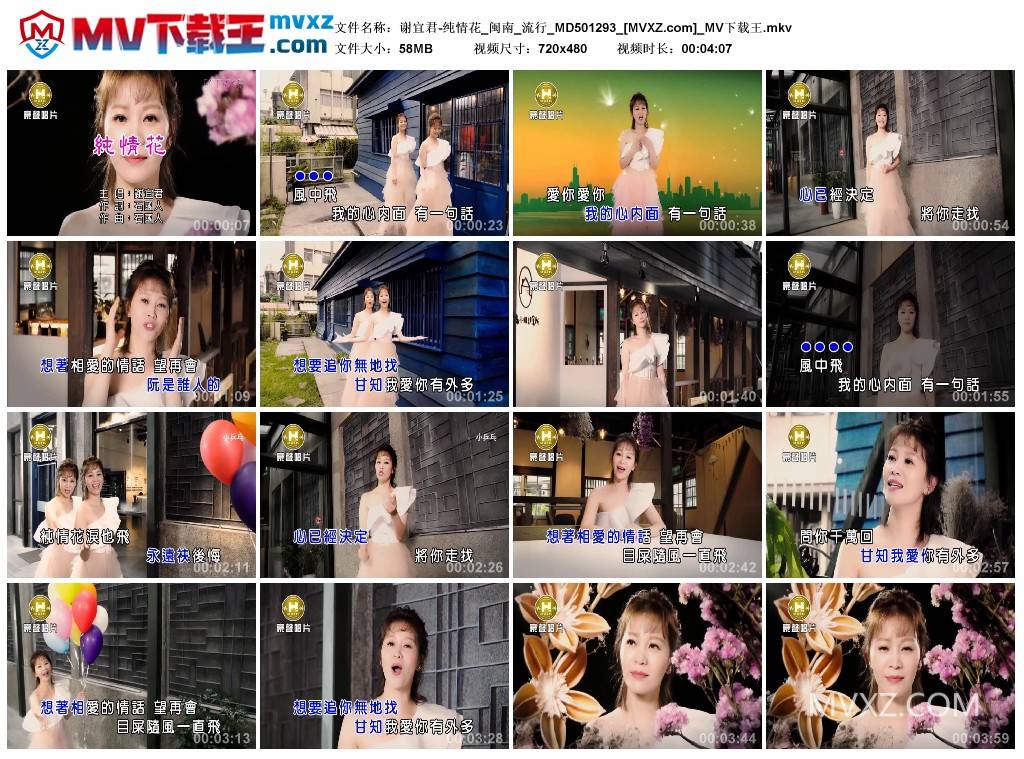 谢宜君-纯情花_闽南_流行_MD501293